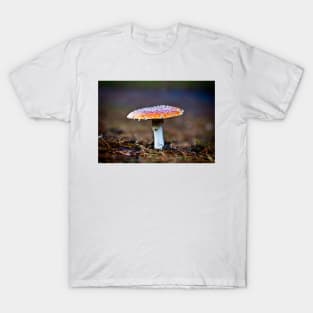 Fly Agaric Toadstool T-Shirt